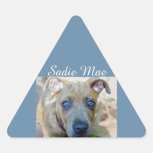 Brindle Pit Bull Puppy van Shirley Taylor Sticker (Voorkant)