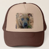 Brindle Pit Bull Puppy van Shirley Taylor Trucker Pet (Voorkant)