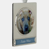 Brindle Pit Bull Puppy van Shirley Taylor Verzilverd Banner Ornament (Rechts)