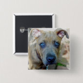 Brindle Pit Bull Puppy van Shirley Taylor Vierkante Button 5,1 Cm (Voorkant /achterkant)