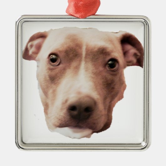 BRINDLE PIT BULL-versiering Metalen Ornament (Voorkant)