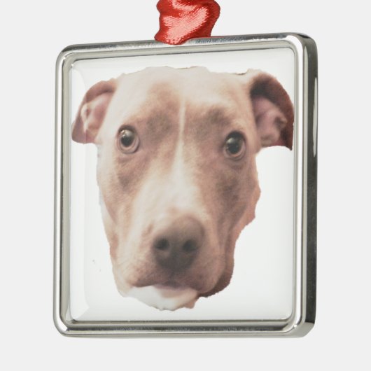 BRINDLE PIT BULL-versiering Metalen Ornament (Links)