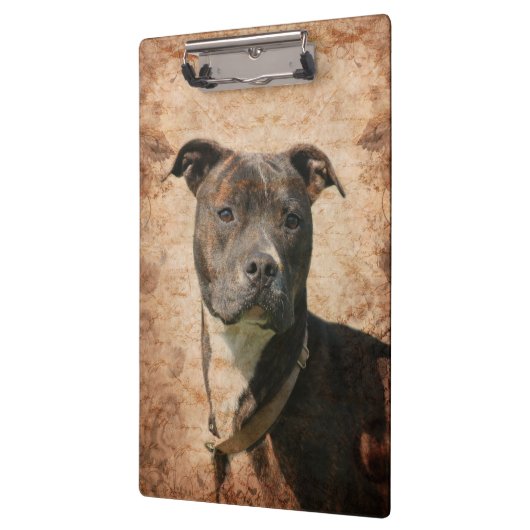 Brindle pitbull klembord (Links)