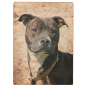 Brindle pitbull klembord (Achterkant)