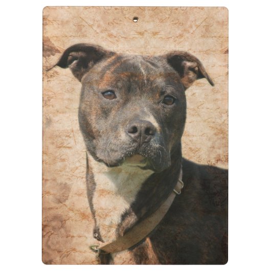 Brindle pitbull klembord (Achterkant)