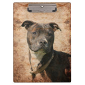 Brindle pitbull klembord (Voorkant)