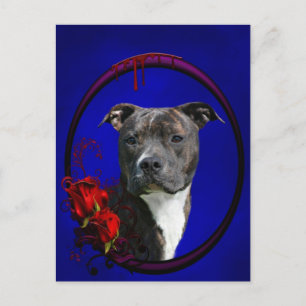 Brindle pitbull met rozen briefkaart