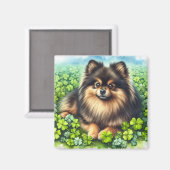 Brindle Pommerse Waterverf Klaver Shamrock Magneet (Voorkant / Achterkant)