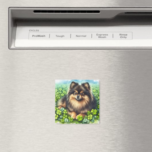 Brindle Pommerse Waterverf Klaver Shamrock Magneet (Insitu (Vaatwasser))