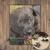 Brindle Puppy Chewing on Twig Legpuzzel
