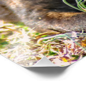 Brindle Puppy en Wilde Onion Foto Afdruk (Hoek)