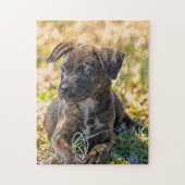 Brindle Puppy en Wilde Onion Legpuzzel (Verticaal)