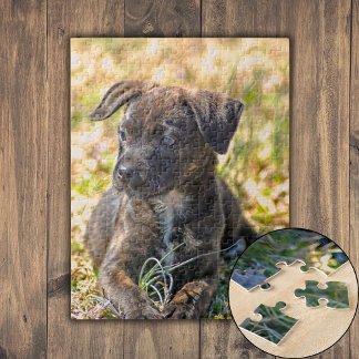Brindle Puppy en Wilde Onion Legpuzzel