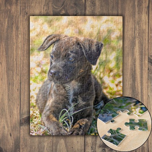 Brindle Puppy en Wilde Onion Legpuzzel