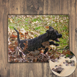 Brindle puppy loopt door bladeren legpuzzel