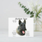 Brindle Schotse Terrier Geschiedenis Briefkaart (Staand voorkant)