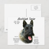 Brindle Schotse Terrier Geschiedenis Briefkaart (Voorkant / Achterkant)