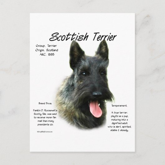 Brindle Schotse Terrier Geschiedenis Briefkaart (Voorkant)