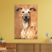 Brindle Whippet Dog Canvas Afdruk (Insitu (Woonkamer))