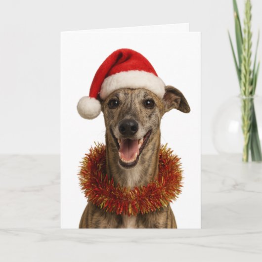 Brindle whippet in a Santa hat Christmas card Kaart (Voorkant)