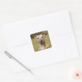 Brindle Whippet-Stickers Vierkante Sticker (Envelop)