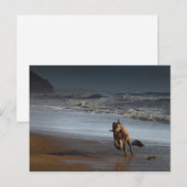 Brindled Lurcher Greyhound op Beach Briefkaart (Voorkant / Achterkant)