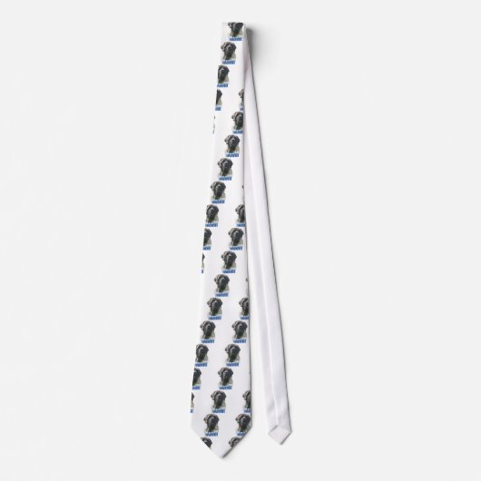 BrindleNamebluemetal Stropdas (Voorkant)