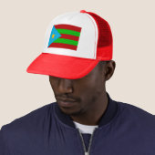 Brio Flag Hat Trucker Pet (In situ)