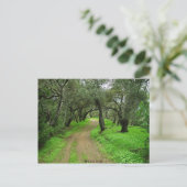 Briones Oaks Briefkaart (Staand voorkant)