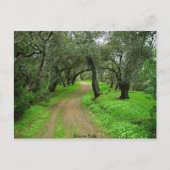 Briones Oaks Briefkaart (Voorkant)