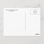 Brisbane Briefkaart (Achterkant)