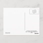 Brisk Shadows Briefkaart (Achterkant)