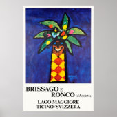 Brissago e Ronco s Ascona, Zwitserland,Reizen Poster (Voorkant)