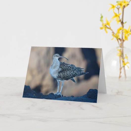 Bristle-dwerg Kaart (Gele Bloem)