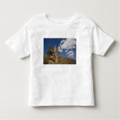 Bristlecone in het Ancient Bristlecone Forest, Kinder Shirts (Voorkant)