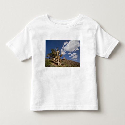 Bristlecone in het Ancient Bristlecone Forest, Kinder Shirts (Voorkant)