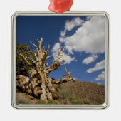 Bristlecone in het Ancient Bristlecone Forest, Metalen Ornament (Voorkant)