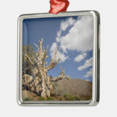 Bristlecone in het Ancient Bristlecone Forest, Metalen Ornament (Links)