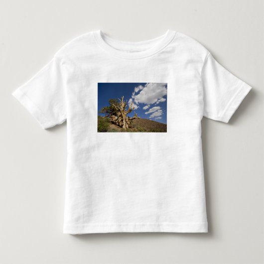 Bristlecone pijnboom in Ancient Bristlecone Forest Kinder Shirts (Voorkant)