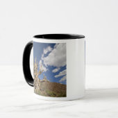 Bristlecone pijnboom in Ancient Bristlecone Forest Mok (Voorkant links)
