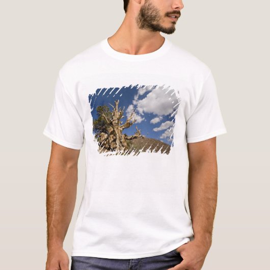Bristlecone pijnboom in Ancient Bristlecone Forest T-shirt (Voorkant)