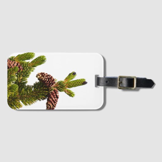 Bristlecone Pine Bagagelabel (Voorkant (horizontaal))