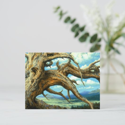 Bristlecone Pine Briefkaart (Staand voorkant)