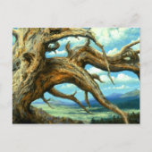 Bristlecone Pine Briefkaart (Voorkant)
