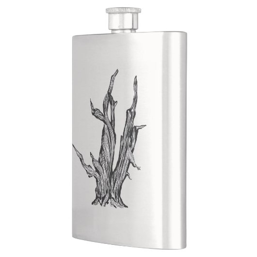 Bristlecone Pine Flacon (Links)