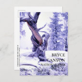 Bristlecone Pine in Winter Snow Briefkaart (Voorkant / Achterkant)