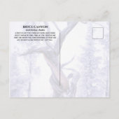 Bristlecone Pine in wintersneeuw Bryce Canyon Briefkaart (Achterkant)