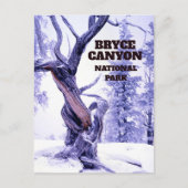 Bristlecone Pine in wintersneeuw Bryce Canyon Briefkaart (Voorkant)