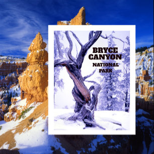 Bristlecone Pine in wintersneeuw Bryce Canyon Briefkaart