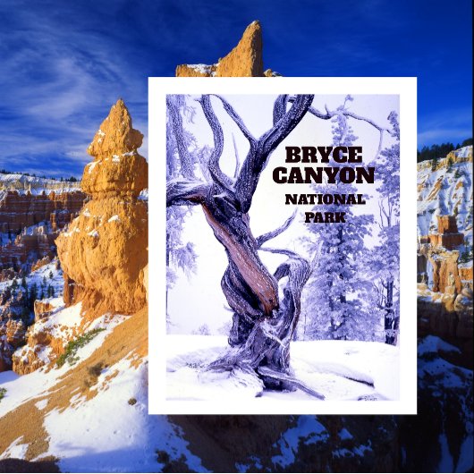 Bristlecone Pine in wintersneeuw Bryce Canyon Briefkaart